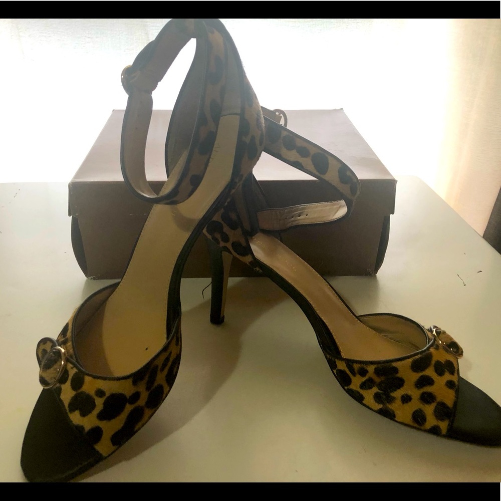 Leopard Print